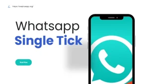 single tick in WhatsApp