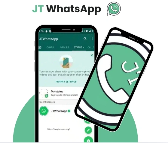 JT WhatsApp