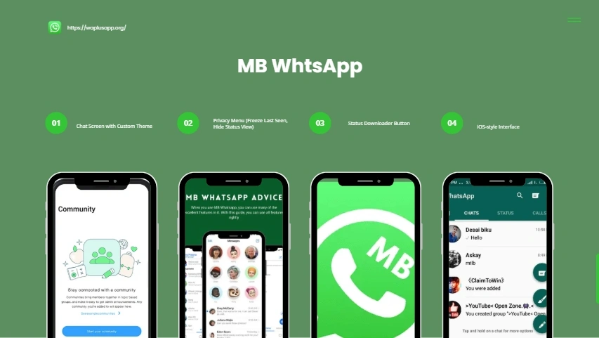 MB WhatsApp
